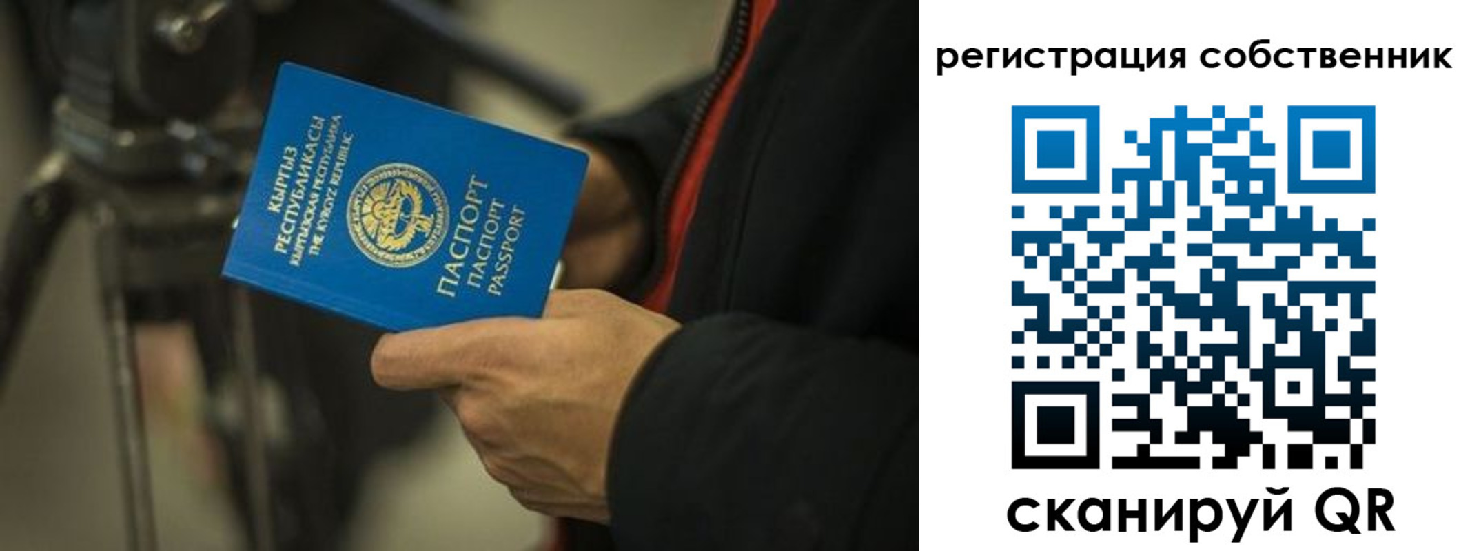 временная регистрация поиск в Лесозаводске